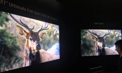 Sony-HDR-CES