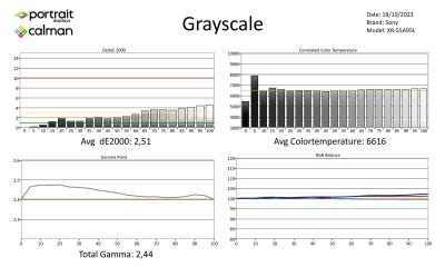 Sony-XR55A95L-metingen SDR-page-001