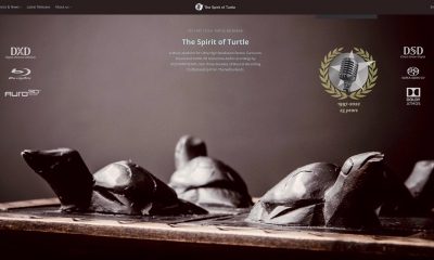 Spirit-of-Turtle_website
