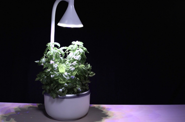 SproutsIO Smart Microgarden