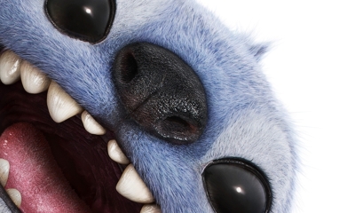 Stitch