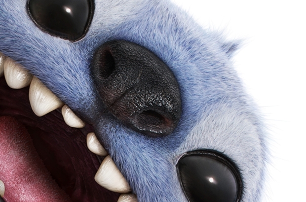 Stitch