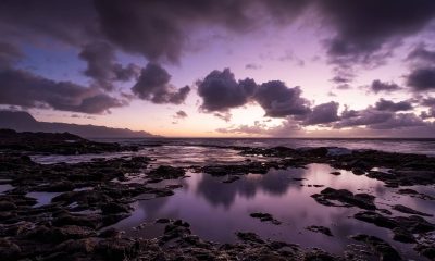 Supergroothoekzooms_Tamron_7