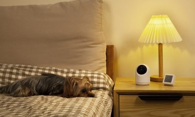 SwitchBot Pan & Tilt Cam