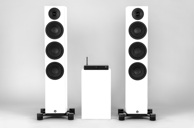 System Audio legend 40 silverback DS – 2