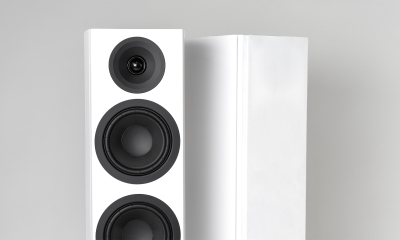 System Audio legend 40 silverback DS – detail 2