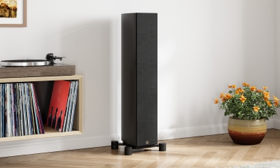 System Audio legend 40 silverback DS – lifestyle 2