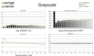 TCL-115X955-SDR-page-1