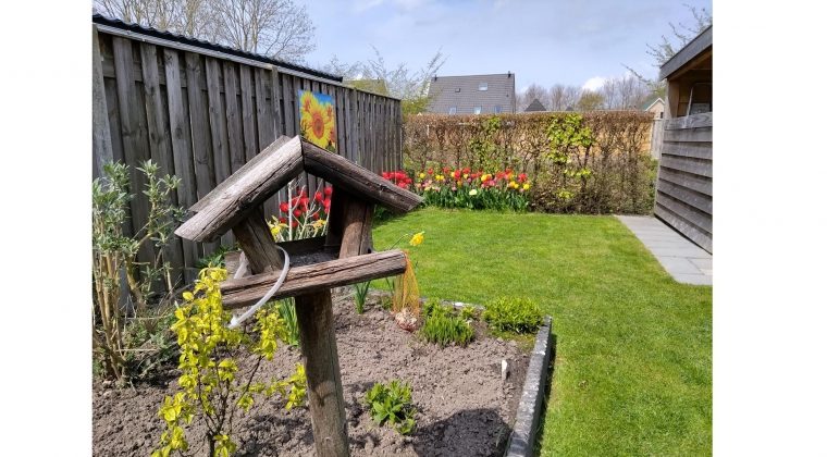 TCL 20L – voorbeeldfoto 3 (1)