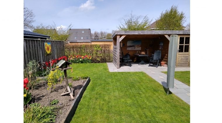 TCL 20L – voorbeeldfoto 4 (1)