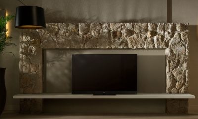 TX-65GZ2000_lifestyle