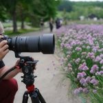 Tamron 150-500mm F_5-6.7 Di III VC VXD