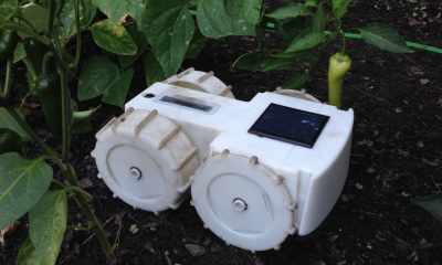 Tertill onkruidwieder