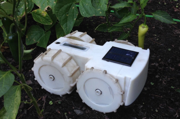 Tertill onkruidwieder