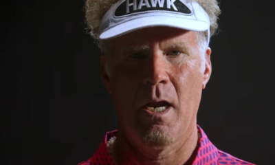 The hawk