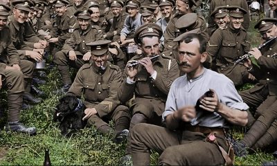 They Shall Not Grow Old