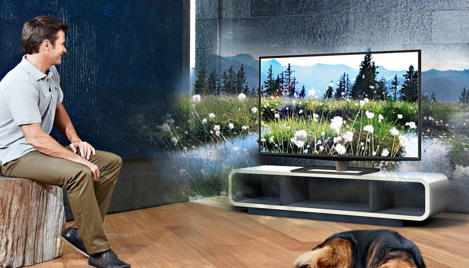 fluiten Leggen Omgekeerd Home3D: nieuwe techniek voor 3D in de huiskamer zonder bril | FWD
