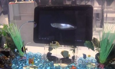 Toshiba-tablet-wireless-waterproof