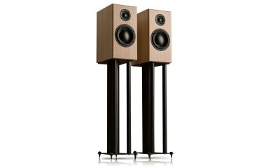 Totem Bison Monitor_115