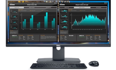 U2913WM-Dell
