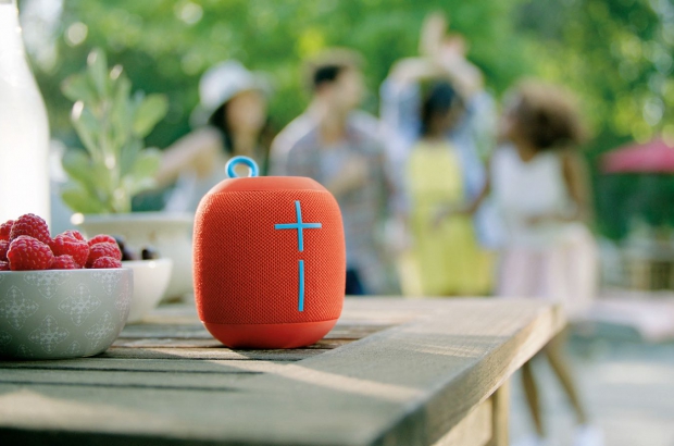Ultimate-Ears-Wonderboom