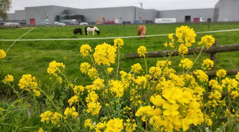 Voorbeeldfoto Poco F4 GT-3
