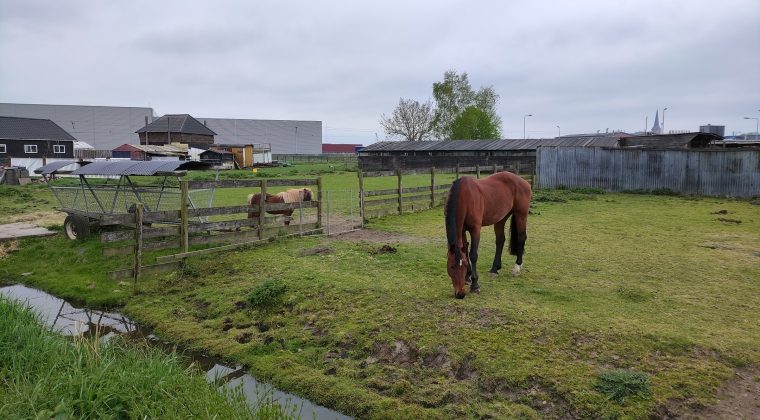 Voorbeeldfoto Poco F4 GT-4