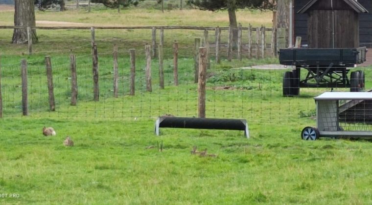 Xiaomi Mi 10T Pro-foto 10x