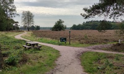 Xiaomi Mi 10T Pro-foto groot