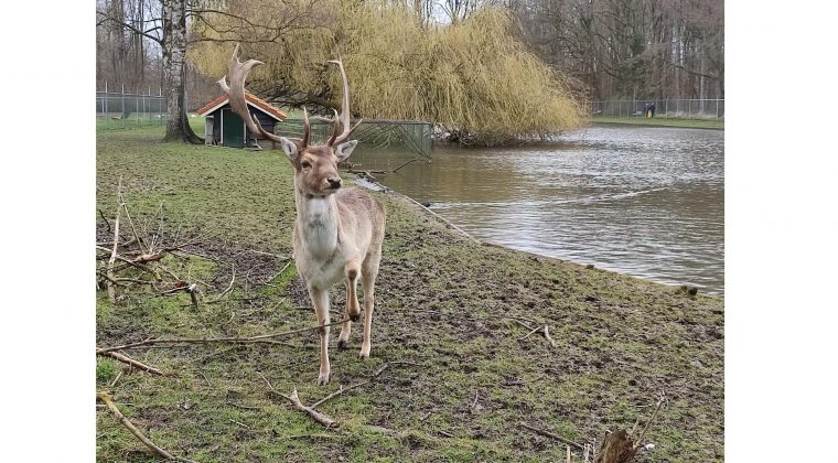 Xiaomi Redmi Note 10 Pro – voorbeeldfoto 3 (1)