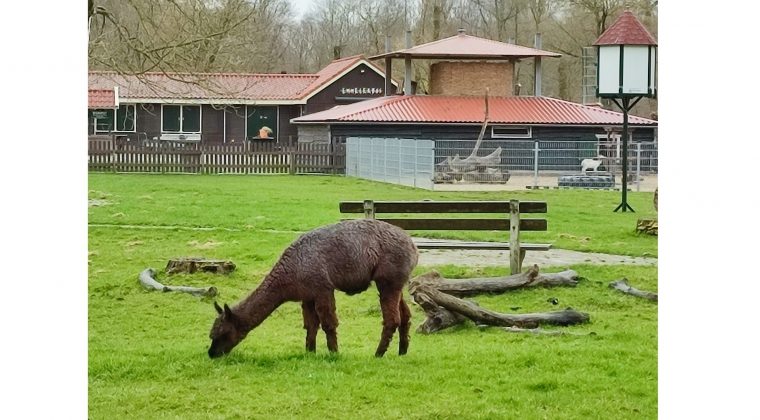 Xiaomi Redmi Note 10 Pro – voorbeeldfoto 5 (1)