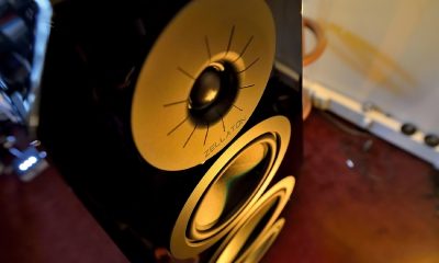 Zellaton_1_Plural Evo