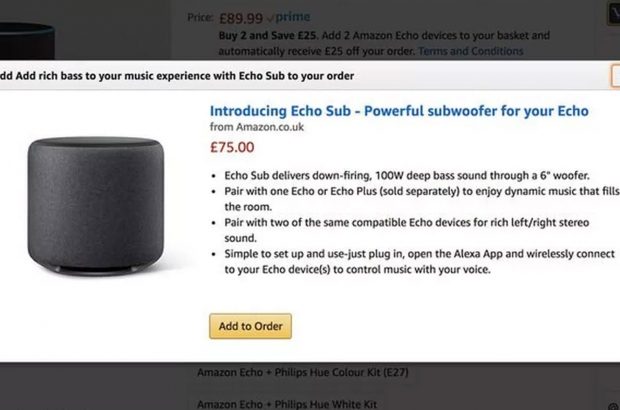 amazon-echo-sub-website