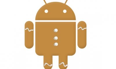 android-gingerbread