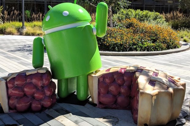 android-pie-standbeeld
