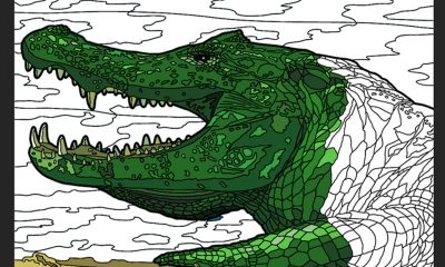 bbc-earth-colouring-retina