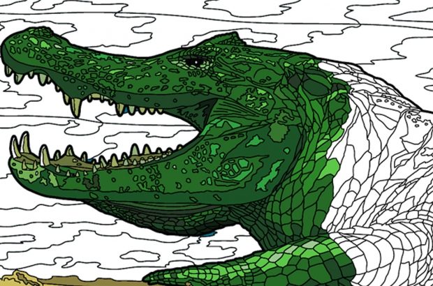 bbc-earth-colouring-retina