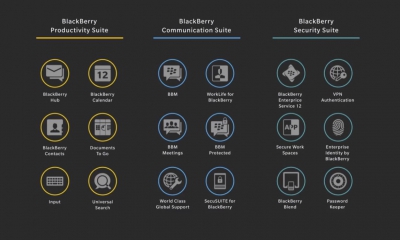 blackberry-suite