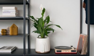 clairy-natede-slimme-bloempot