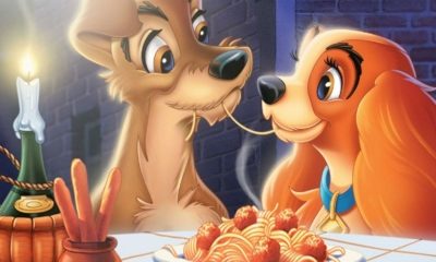 disney-lady-vagebond