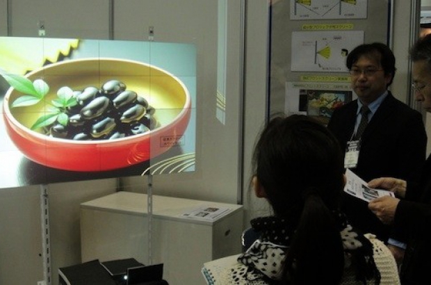 dlc-projector-scherm