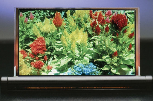 dupont-oled
