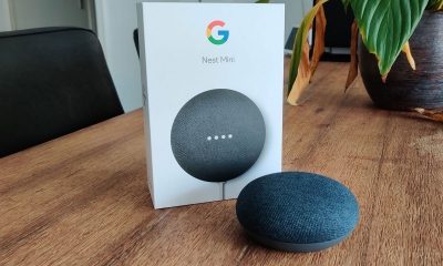 google-nest-mini-groot
