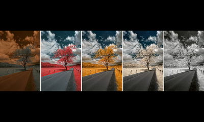 infrarood_37 © Dan Wampler