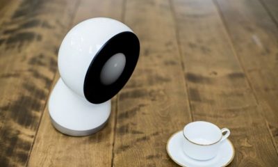 jibo-sociale-robot