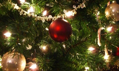 kerstboom