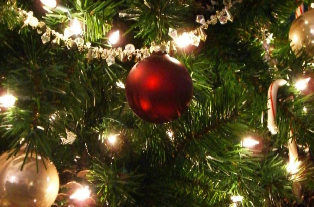 kerstboom