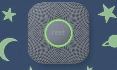nest-rookmelder