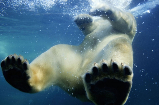 planet-earth-netflix