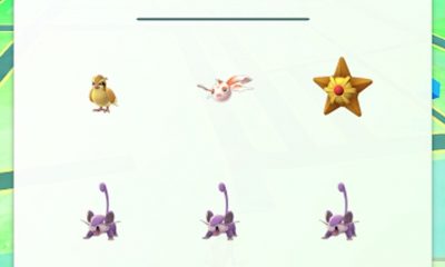 pokemon-go-tracker